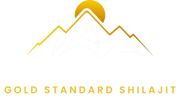Black Steel Shilajit